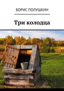 Книга "Три колодца" – Борис Полушкин