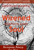 Мудрость души. Wizened soul (Айнур Везирова, 2017)