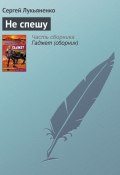 Не спешу (Лукьяненко Сергей, 2004)