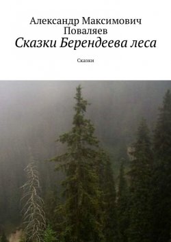 Книга "Сказки Берендеева леса. Сказки" – Александр Поваляев