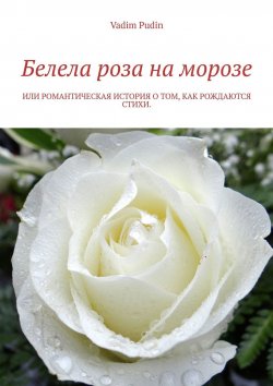 Книга "Белела роза на морозе. Или романтическая история о том, как рождаются стихи" – Vadim Pudin