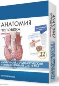 Анатомия человека / учебник для ссузов (Сапин М., Никитюк Дмитрий, Сивоглазов Владислав, 2009)