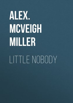 Книга "Little Nobody" – Alex. McVeigh Miller