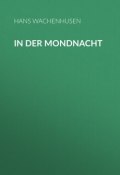 In der Mondnacht (Hans Wachenhusen)