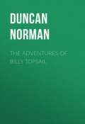 The Adventures of Billy Topsail (Norman Duncan)