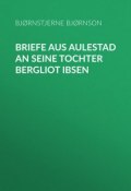 Briefe aus Aulestad an seine Tochter Bergliot Ibsen (Bjørnstjerne Bjørnson)