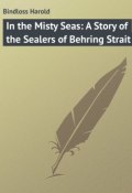 In the Misty Seas: A Story of the Sealers of Behring Strait (Harold Bindloss)