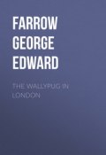 The Wallypug in London (George Farrow)