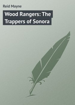 Книга "Wood Rangers: The Trappers of Sonora" – Томас Майн Рид