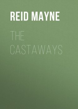 Книга "The Castaways" – Томас Майн Рид