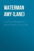 A Little Preserving Book for a Little Girl (Amy Waterman)