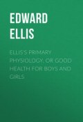 Ellis's Primary Physiology. Or Good Health for Boys and Girls (Ellis Edward Sylvester, Edward Ellis)