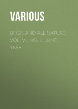 Книга "Birds and All Nature, Vol. VI, No. 1, June 1899" – Various