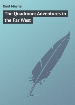 Книга "The Quadroon: Adventures in the Far West" – Томас Майн Рид