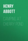 Camping at Cherry Pond (Henry Abbott)