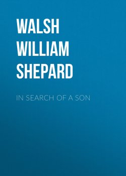 Книга "In Search of a Son" – William Walsh