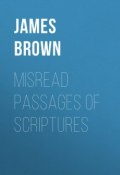 Misread Passages of Scriptures (James Baldwin, James Brown)