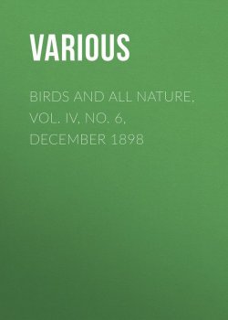 Книга "Birds and all Nature, Vol. IV, No. 6, December 1898" – Various