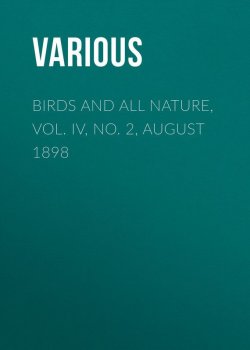 Книга "Birds and all Nature, Vol. IV, No. 2, August 1898" – Various