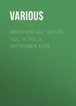 Книга "Birds and all Nature, Vol. IV, No. 3, September 1898" – Various