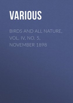 Книга "Birds and All Nature, Vol. IV, No. 5, November 1898" – Various