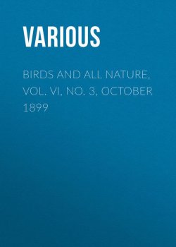 Книга "Birds and All Nature, Vol. VI, No. 3, October 1899" – Various