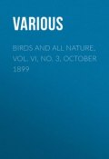 Birds and All Nature, Vol. VI, No. 3, October 1899 (Various)