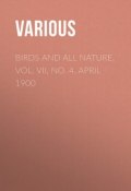 Birds and all Nature, Vol. VII, No. 4, April 1900 (Various)