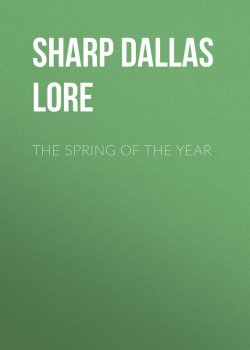 Книга "The Spring of the Year" – Dallas Sharp