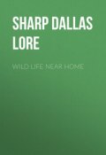Wild Life Near Home (Dallas Sharp)