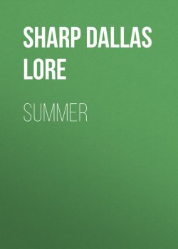 Книга "Summer" – Dallas Sharp