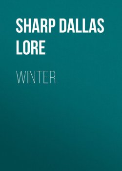 Книга "Winter" – Dallas Sharp