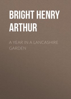 Книга "A Year in a Lancashire Garden" – Henry Bright