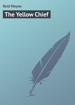 Книга "The Yellow Chief" – Томас Майн Рид