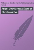 Angel Unawares: A Story of Christmas Eve (Alice Williamson, Charles Williamson)
