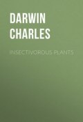Insectivorous Plants (Чарльз Роберт Дарвин, Дарвин Чарльз)