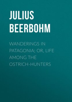 Книга "Wanderings in Patagonia; Or, Life Among the Ostrich-Hunters" – Julius Beerbohm