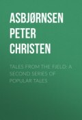 Tales from the Fjeld: A Second Series of Popular Tales (Peter Asbjørnsen)