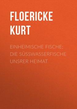 Книга "Einheimische Fische; Die Süßwasserfische unsrer Heimat" – Kurt Floericke