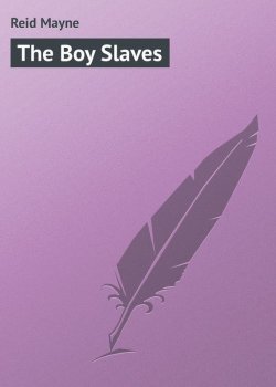 Книга "The Boy Slaves" – Томас Майн Рид