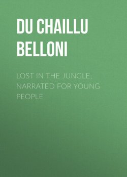 Книга "Lost in the Jungle; Narrated for Young People" – Paul Du Chaillu