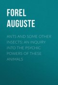 Ants and Some Other Insects: An Inquiry Into the Psychic Powers of These Animals (Auguste Forel)