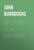 Bird Stories from Burroughs (John Burroughs)