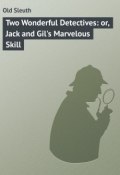 Two Wonderful Detectives: or, Jack and Gil's Marvelous Skill (Sleuth Old)