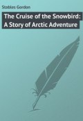 The Cruise of the Snowbird: A Story of Arctic Adventure (Gordon Stables)