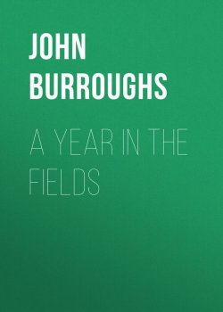 Книга "A Year in the Fields" – John Burroughs