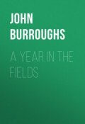 A Year in the Fields (John Burroughs)