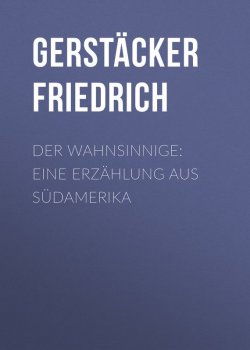 Книга "Der Wahnsinnige: Eine Erzählung aus Südamerika" – Friedrich Gerstäcker