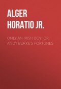 Only an Irish Boy; Or, Andy Burke's Fortunes (Horatio Alger)