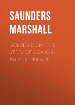 Книга "Golden Dicky, The Story of a Canary and His Friends" – Marshall Saunders